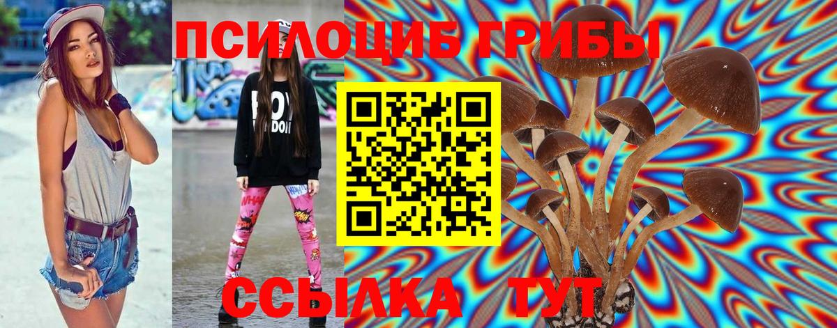 Галлюциногенные грибы Psilocybe Узловая