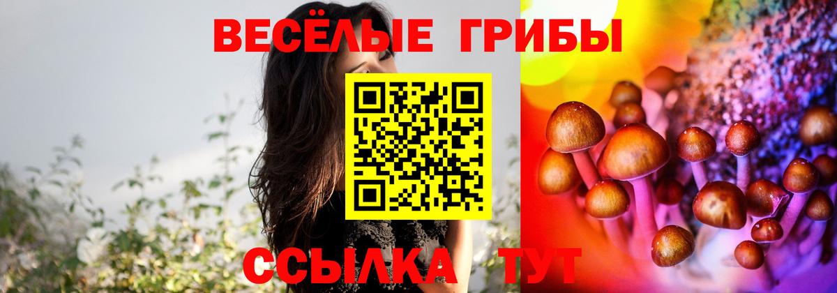 Узловая  Галлюциногенные грибы Magic Shrooms  Галлюциногенные грибы прущие грибы  Вход с VPN 